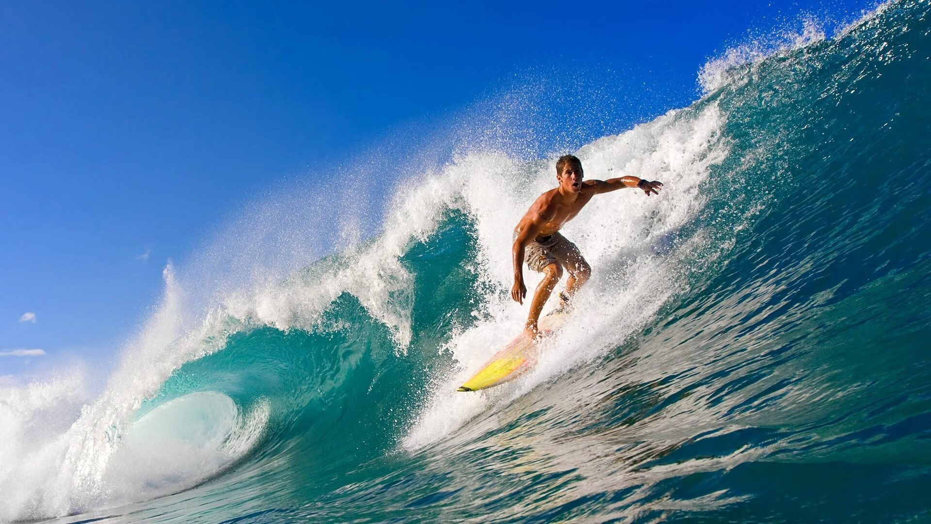 众星云集：国际台球界的名人嘉宾，著名台球选手